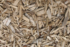 biomass boilers Bawdrip